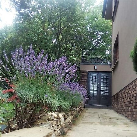 Apartman V Zahrade Praha Troja - Apartment In The Garden Prague Troja Экстерьер фото